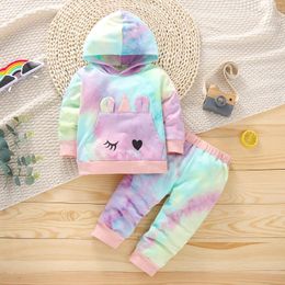 Clothing Sets Fall Winter Baby Toddler Girls 2PCS Clothes Lounge Set Long Sleeve Hooded Sweater Floral Pants Outfits 0 12 18 24 MonthClothin