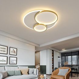 Ceiling Lights Modern LED Chandelier For Living Room Bedroom Study Rotatable Round Lamp Minimalist Home Lighting Fixture
