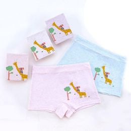 Panties 5pcs/lot Children's Briefs Cotton Boxer Baby Girl Elementary School For 4-12 Ages CHU033Panties