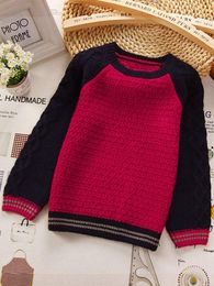 Toddler Boys Raglan Sleeve Striped Trim Sweater SHE01