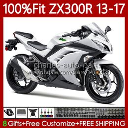 Injection Fairings For KAWASAKI NINJA ZX-300R ZX3R EX ZX 3R 300R 2013 2014 2015 2016 2017 125No.100 ZX-3R EX-300 13-17 ZX300 EX300R ZX300R 13 14 15 16 17 OEM Body Pearl White