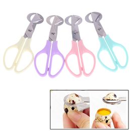 Quail Egg Scissors Tools Bird Egg Stainless Steel Cutters Shell Opener Kitchen Hand