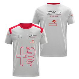 f1 team t-shirt fan clothing half-sleeve polyester quick-drying breathable custom can add size