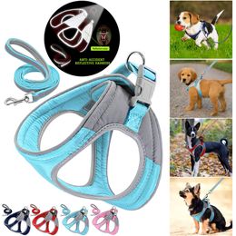 Nylon Small Medium Dogs Pet Harness Collar Adjustable Pet Leash For Medium Small Dog Puppy Solid Harnesses vest Pet Supplies D30 201101