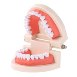 standard model UK - Dental Child Teeth Teaching Model Adult Teeth Gums Standard Demonstration Tool for Kids Studying2724
