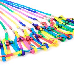 Dog Collars & Leashes Adjustable Pet Cat Puppy Dogs Leash Harness Nylon Colourful Lead For Small Walk WholesaleDog