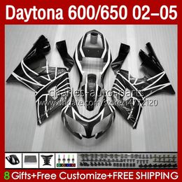 Motorcycle Bodys For Daytona600 Daytona650 Silver white 02-05 Bodywork 132No.50 Cowling Daytona 650 600 CC 02 03 04 05 Daytona 600 2002 2003 2004 2005 ABS Fairing Kit