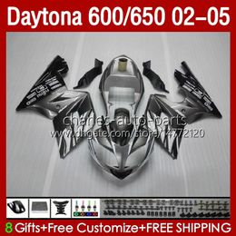 Motorcycle Bodys For Daytona600 Silver grey Daytona650 02-05 Bodywork 132No.37 Cowling Daytona 650 600 CC 02 03 04 05 Daytona 600 2002 2003 2004 2005 ABS Fairing Kit