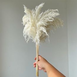 White Colour Large Size Real Dried Pampas Grass Wedding Decor Flower Bunch Natural Plants Home Decor Fall Decor 220406