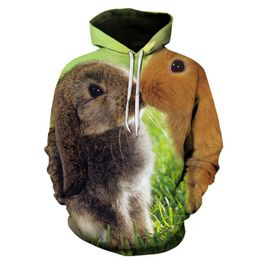 Men's Hoodies & Sweatshirts 2022 Fashion 3d Printing Hoodie Sweater Pullover Cute Sportswear Animal Streetwear