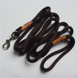 Pet Dog Leash small Large Puppy nylon rope leatheDog Recall Training Tracking Obedience Long Line Lead Rope LJ201112