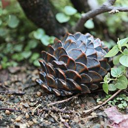 Garden Decorations Outdoor Mini Locker Spare Key Box Pine Cones Rock Hidden Hide In Stone Security Safe Storage Hiding Containers BoxGarden