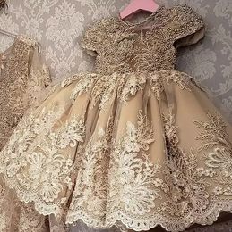 New Gold Champagne Princesa Girls Pageant Vestidos Jewel Pescoço Cap Sleeves Lace Appliques Pérolas Flor Menina Vestido Festa Primeira Comunhão Vestidos De Volta Com Bow