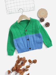 Toddler Boys Colorblock Button Front Cardigan SHE01