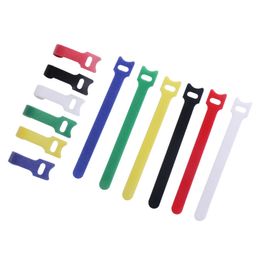 100pcs/set Releasable Cable Ties Coloured Plastics Reusable Cable ties Nylon Loop Wrap Zip Bundle Ties T-type Cable Tie Wire