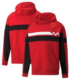 New F1 Formula One racing suit Men's racing series hoodie Custom team joint sweater