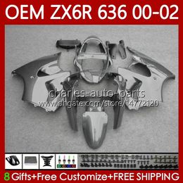 Injection Bodys For KAWASAKI NINJA ZX-636 Silver grey ZX 6R 600 CC 6 R ZX636 ZX-600 00-02 Bodywork 133No.29 ZX 636 600CC ZX-6R ZX6R 00 01 02 ZX600 2000 2001 2002 OEM Fairing