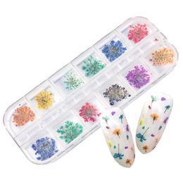 Nail Art Decorations 24Pcs 12 Patterns 3D Dry Flowers Stickers Real Dried Flower Decoration Tips DIY Manicure Tools With Box ArtNail