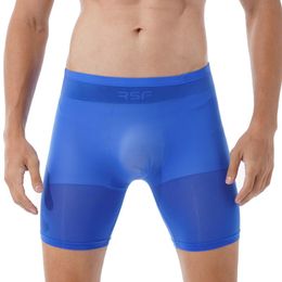 -Pantalias de bragas transparentes para hombres Boxer Briefs Shorts elásticos Color sólido Cantalla elástica