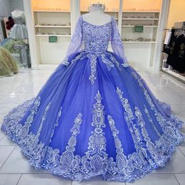 Purple Quinceanera Dresses Ball Gown For Sweet 16 Girl Appliques Sequined Long Sleeve Birthday Princess Prom Gown Vestidos De 15 Anos