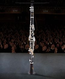 China Brand Ebony Wood Clarinet Bb Professional Playing Music Imported Ebony Clarinet Woodwind instrument