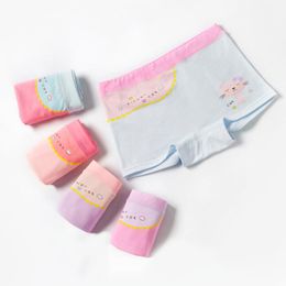 Panties For Girls Cotton Underwear Four Seasons Shorts Children Clothing Cute Underpants Size 2T-14T Random Colour 3pcs, 4pcs, 5