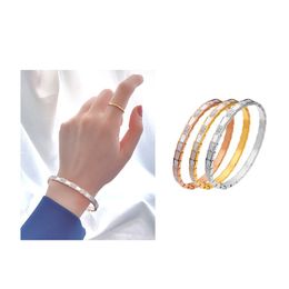 High Quality Stainless Steel Snake Bangle Full Diamond Insert Bracelet 18K Gold Women Jewelry