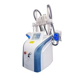 3 Handles Cryolipolysis Lipofreeze Freeze Fat Freezed Cool Body Sculpting Fat Freezed Machine For Loss Weight With Four Handle433