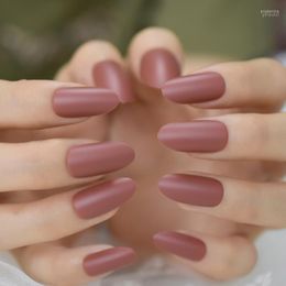 False Nails Medium Brown Daily Nail Manicure Accessories Oval Matte Artificial Fingernails Soild Colour Abs Tips Prud22