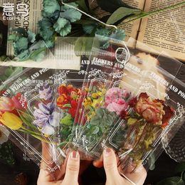 Gift Wrap Pieces /Pack Natural Park Flower Plants Handbook Diary DIY Decoration PET StickerGift