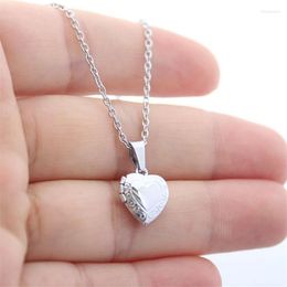 Pendant Necklaces Stainless Steel Heart Shaped Po Frame Necklace Love Charm Floating Locket Women Men Memorial Jewellery