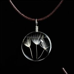 Pendant Necklaces Dandelion Chokers Crystal Glass Ball Clover Strip Leather Necklace Long Dried Flowers Locket Pend Baby Dhupq