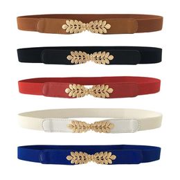 Belts High Elasticity Fabric For Women Dresses Gold Leaves Metal Buckle Female Fashion 2022 Elastic BeltsBelts