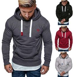 Men's Hoodies & Sweatshirts Colour Tether Autumn&Winter Embroidery Long Sleeved Hooded Solid Sweater
