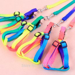 20pcs Durable Colorful Rainbow Pet Dog Collar Chest strap Harness Leash Soft Walking Harness Lead Colorful Nylon Traction Rope 201101