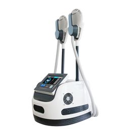 Portable Hiemt Emslim 2 Handle EMS Electromagnetic Stimulation Body Slimming Fat Burning Machine