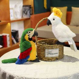 Pc Cm Lifelike Parrot Plush Toy Soft Cute Wild Animals Stuffed Dolls Kawaii Bird For Children Kids Birthday Decor Gift J220704