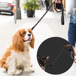 Dog Collars & Leashes 5ft/6ft Nylon Reflective Mountaineering Rock Climbing Training Rope Pet Lead Leash Small Medium Large DogDog