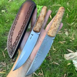 High-quality Fixed Blade Knife 440c/Damascus Blade Wood Handle Outdoor Camping Collection Tactics Knives