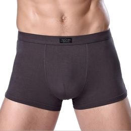 Underpants Brand Clothing Mens Underwear Boxer Bamboo Fiber Casual Male Men's Short Man Solid Color 1 PieceUnderpants
