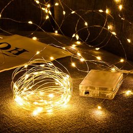 Wróżki światła miedziane LED LIDY sznurek świąteczny girland na zewnątrz wodoodporne wodoodporne sypialnia noworoczne wystrój D2.0