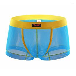 Underpants Men Underwear Boxer Mesh U Pouch Sexy Cueca Nylon Pants Trunks Shorts Gay Male Panties