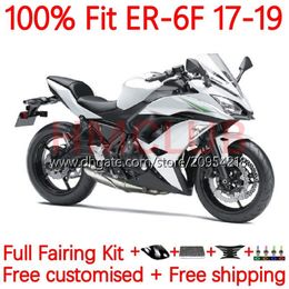 OEM Injection Mould Fairings For KAWASAKI NINJA 650R ER 6F 6 F ER6F 17 18 19 20 Bodywork 18No.12 NINJA650R ER6 F Cowling ER-6F 2017 2018 2019 2020 Body Kit pearl white