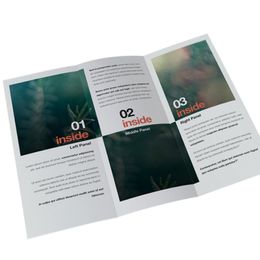 Colouring Coated Paper Luxury Advertising Flyers / Booklet / Brochure Printing Service