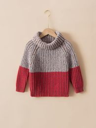 Toddler Boys Two Tone Turtleneck Raglan Sleeve Sweater SHE