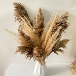 Decorative Flowers & Wreaths Natural Real Dried Plants Pampas Grass In Bulrush Bouquet Small Reed For Decoration Phragmite Wedding Home Deco