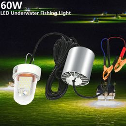 Factory Price DC 12-24V Battery Charged LED Fishing Lure Lights 60W Fishing Bait Fake Bait White Green Colour for Choose