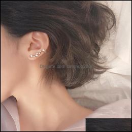 Dangle Chandelier Earrings Jewelry 925 Sterling Sier New High Quality Retro Simple Seven Cubic Zirconia Stars Pop Dhmnl