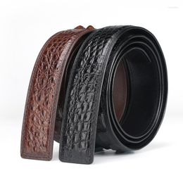Belts Thailand Real Crocodile Leather Men Casual High QualityBelts Fier22
