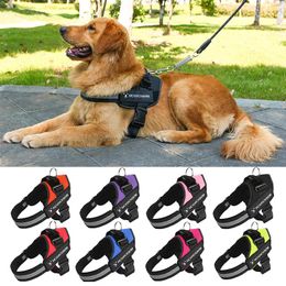 Dog Collars & Leashes Collar Leash Custom Tag Night Anti-lost Oxford Cloth Explosion-proof Chest Strap Large Medium And Small Pet SuppliesDo